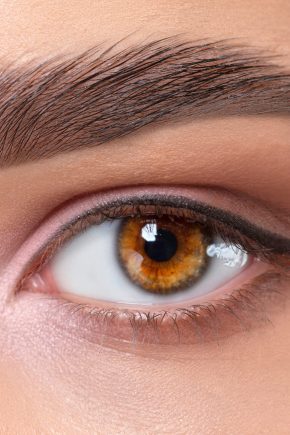 Eyes and eyebrows close up. Portrait of a beautiful teenage girl with beautiful makeup and healthy clean skin. Makeup and cosmetology concept.